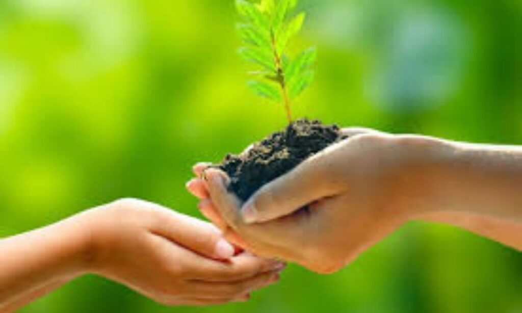 World Nature Conservation Day: Simple Daily Habits That Can Make You a True Nature Hero Without Leaving Your Home